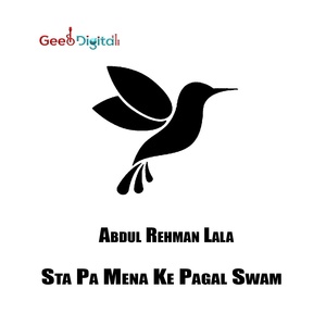 Обложка для Abdul Rehman Lala - Sta Pa Mena Ke Pagal Swam