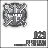 Обложка для DJ Gollum - Fortunes