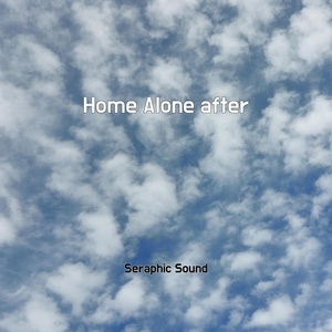 Обложка для Seraphic Sound - Home Alone after