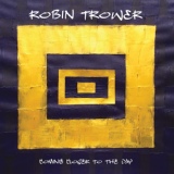 Обложка для Robin Trower - The Perfect Wrong