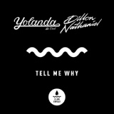 Обложка для Yolanda Be Cool & Dillon Nathaniel - Tell Me Why