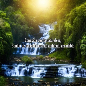 Обложка для Cascada en el Bosque, Sonidos del Bosque, Sonido Ambiente - Escucha de la naturaleza, Sonido de cascada para un ambiente agradable