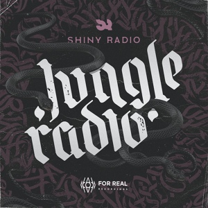 Обложка для Shiny Radio - Stealth Dub