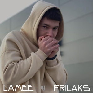 Обложка для Lamee, FRILAKS - Похожи, но разные