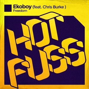 Обложка для Ekoboy feat. Chris Burke - Freedom