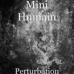 Обложка для Mini Humain - Perturbation