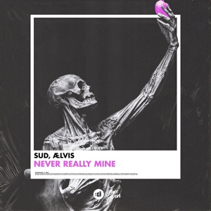 Обложка для SUD, ælvis - Never Really Mine