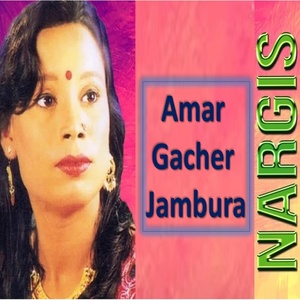 Обложка для Nargis Akter - Amar Gacher Jambura