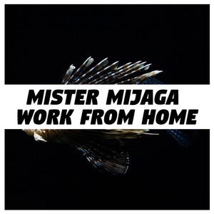 Обложка для Mister Mijaga - Work From Home