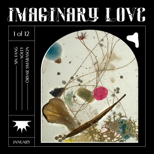 Обложка для Sin Fang, Sóley, Örvar Smárason - Imaginary Love