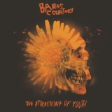 Обложка для Barns Courtney - The Attractions Of Youth