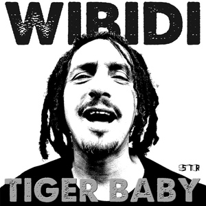 Обложка для Wibidi - Why ?
