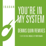 Обложка для Kerri Chandler, Jerome Sydenham feat. Troy Denari - You're in My System