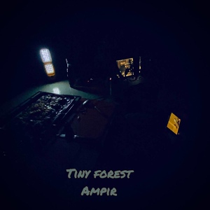 Обложка для Ampir - Tiny Forest