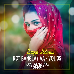 Обложка для Liaqat Mehrani - Kot Bugly Aa