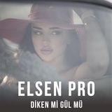 Обложка для Elsen Pro - Diken Mi Gül Mü