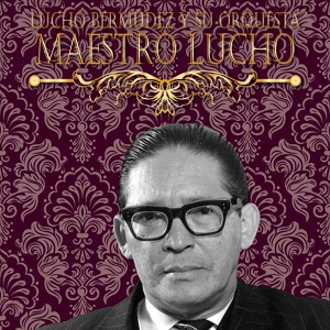 Обложка для Lucho Bermudez - Porro operativo