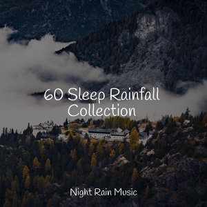 Обложка для Alpha Waves, Relaxation Personal Guru, ASMR Sleep Sounds - Rainy Night