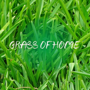 Обложка для DJ Freccia, Angelo Zibetti feat. Filos, Livio Polini - Grass of home