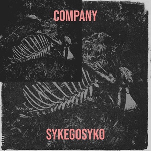 Обложка для SykeGoSyko - Company