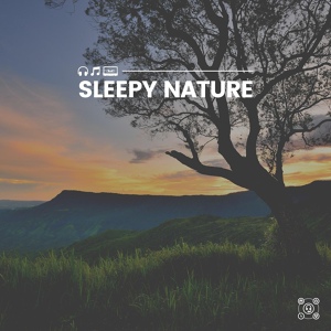 Обложка для Nature Sound Series - Morass