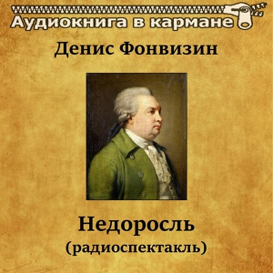 Обложка для Аудиокнига в кармане, Александр Коршунов - Недоросль, Чт. 5