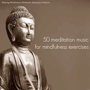 Обложка для Relaxing Mindfulness Meditation Relaxation Maestro - Everyday Mindfulness (Deep Meditation Music)