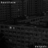 Обложка для HOSTILAZE - Despair
