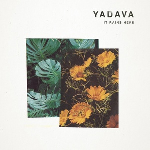 Обложка для Yadava - Saudade