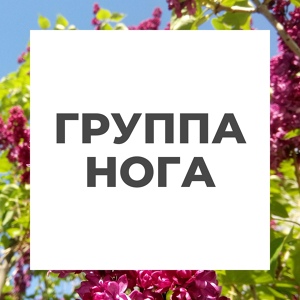 Обложка для Группа Нога - Эх