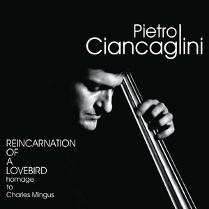 Обложка для Pietro Ciancaglini - Reincarnation of a Lovebird