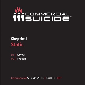 Обложка для Skeptical - Static