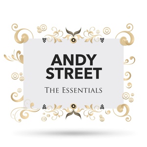 Обложка для Andy Street - Moon