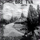 Обложка для BRI TVA - Дебил на дебила