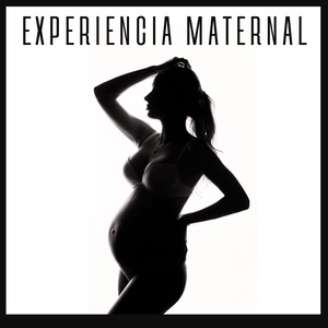 Обложка для Embarazo Feliz - Nueva Vida