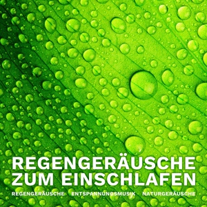 Обложка для Regengeräusche, Entspannungsmusik, Naturgeräusche - Heimlich