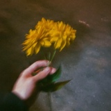 Обложка для Одда, mart'o - Я дарил тебе цветы