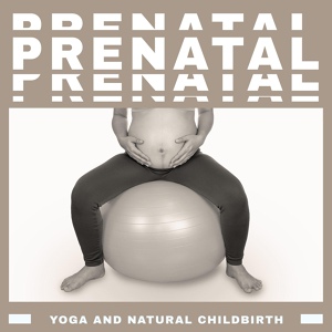 Обложка для Pregnancy Yoga Club - Harmony