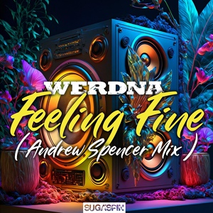 Обложка для WERDNA - Feeling Fine