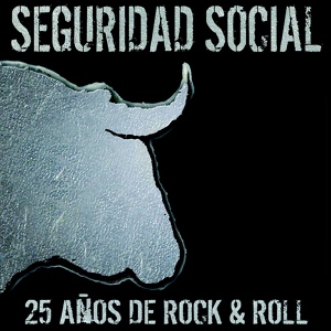 Обложка для SEGURIDAD SOCIAL - Acción
