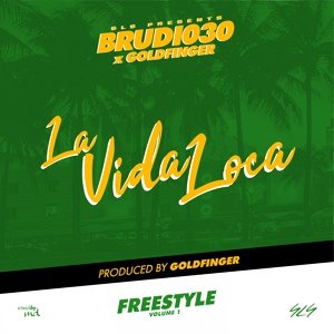 Обложка для Brudi030, Goldfinger - La Vida Loca