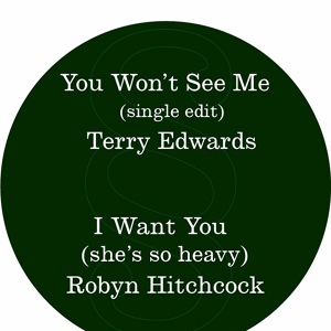 Обложка для Robyn Hitchcock - I Want You (she's so heavy)