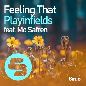 Обложка для Playinfields feat. Mo Safren - Feeling That