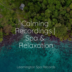 Обложка для Tranquility Spa Universe, Baby Relax Music Collection, Relaxing Nature Ambience - Take a Break