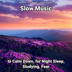Обложка для Relaxing Music by Terry Woodbead, Yoga, Relaxing Spa Music - Slow Music to Calm Down and for Night Sleep Part 84