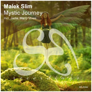 Обложка для Malek Slim - Mystic Journey