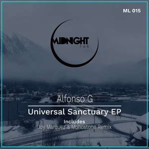 Обложка для Alfonso G - Universal Sanctuary