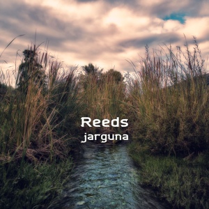 Обложка для Jarguna - Reeds, Pt. 4