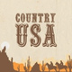 Обложка для Whiskey Country Band - Country USA