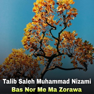 Обложка для Talib Saleh Muhammad Nizami - Ghazi Da Sangaar
